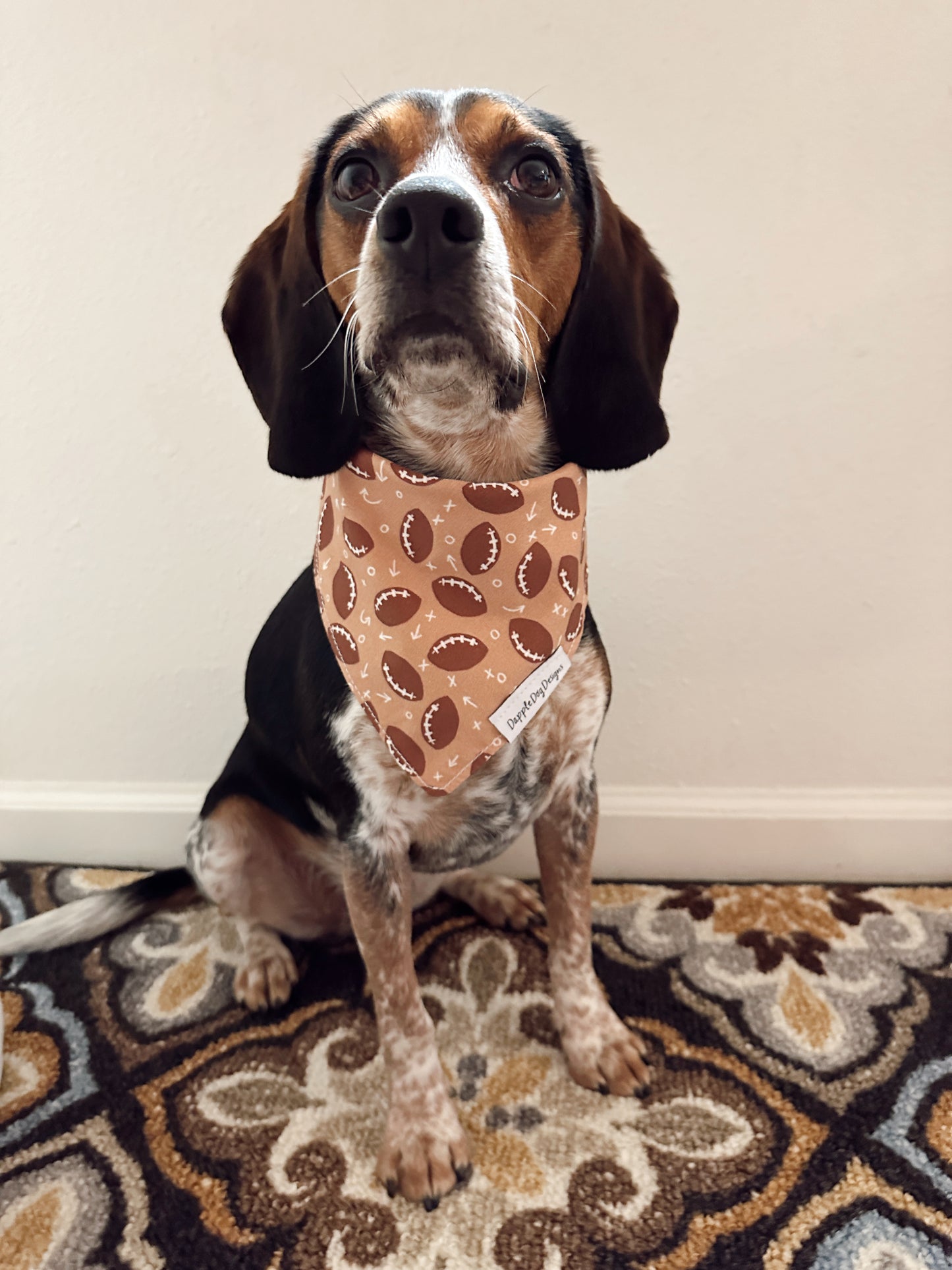 Dapple Dog Designs - Football Bandana