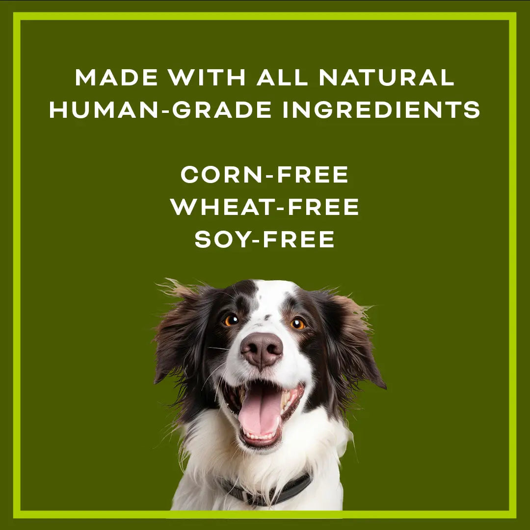 Barkin - Peanut Butter Cookie Soft & Chewy Dog Treat