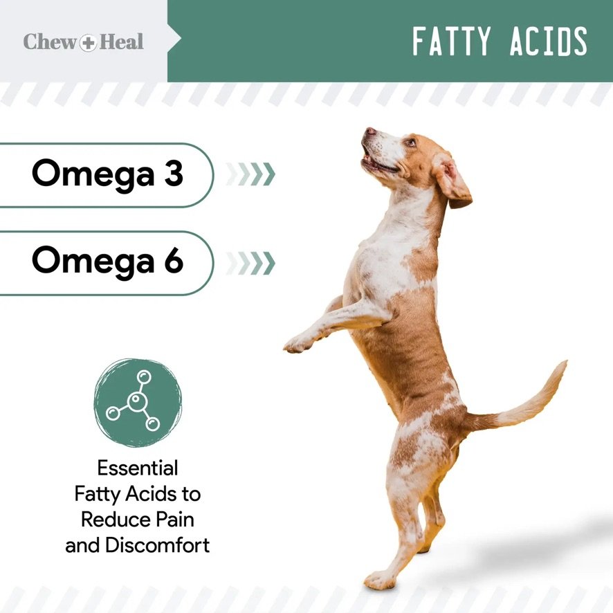 Chew + Heal - Senior Hip and Joint Soft Chews