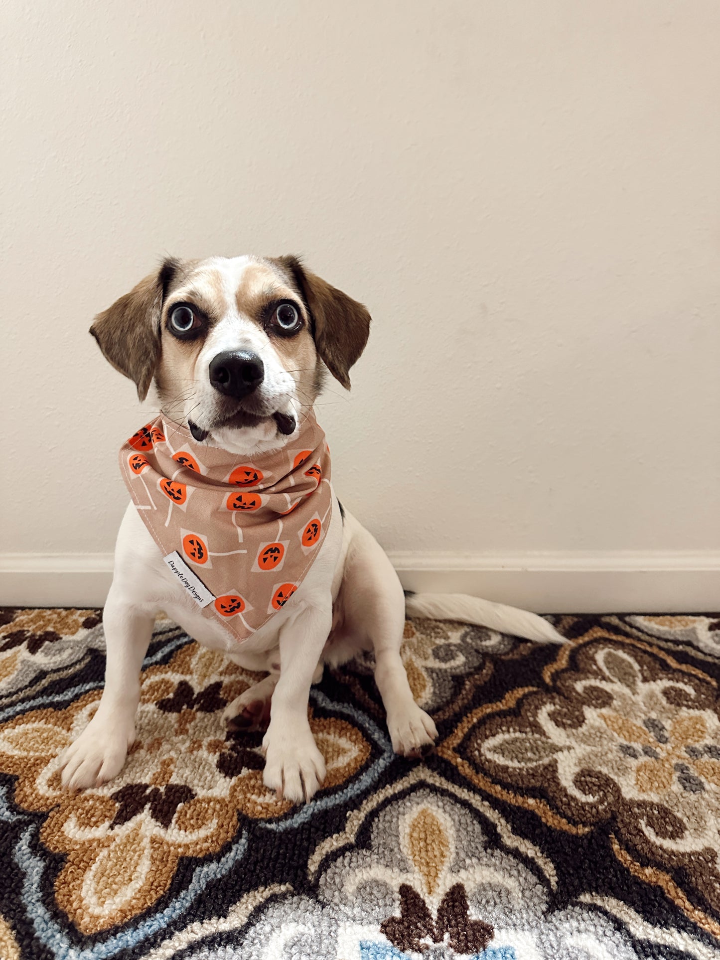 Dapple Dog Designs - Pumpkin Lollipops Bandana